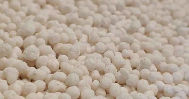 Central Government has ensured adequate supply of Fertilizer; States must ensure timely delivery of Fertilizer