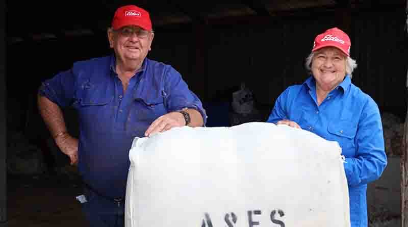 Opportunities aplenty for innovative wool growers