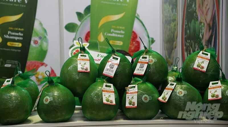 Increase Vietnamese agricultural products' market share in the EU