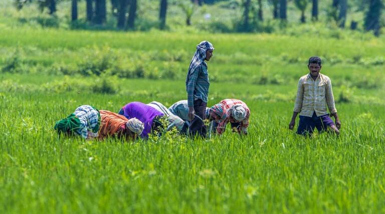 Out of the Global top 20 pesticides, only 2 remain patented: Study