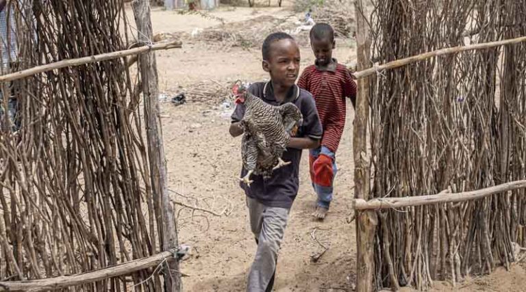 New action plan to prevent child wasting in 15 countries in the next two years