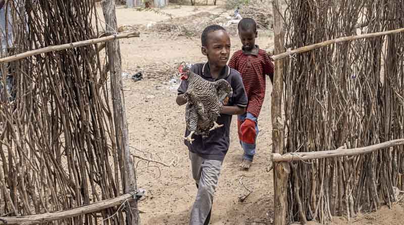 New action plan to prevent child wasting in 15 countries in the next two years