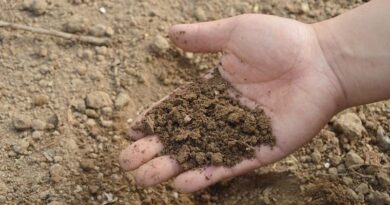 Cabinet approves Nutrient Based Subsidy of 51 thousand crores for Phosphatic and Potassic fertilizers for Rabi season 2022-23