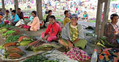 Papua New Guinea’s food security to be strengthened further through PlantwisePlus programme