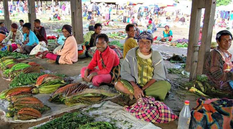 Papua New Guinea’s food security to be strengthened further through PlantwisePlus programme