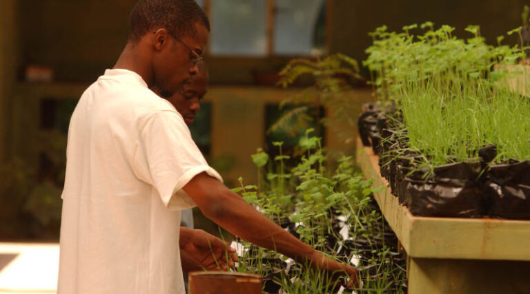 Global Environment Facility tasks FAO and IFAD to lead new $230 million agrifood systems transformation program