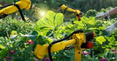 The State of Food and Agriculture 2022: Leveraging automation to transform agrifood systems