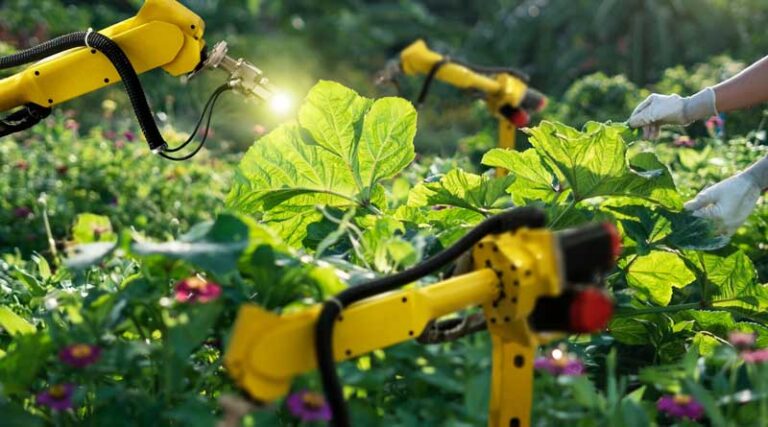 The State of Food and Agriculture 2022: Leveraging automation to transform agrifood systems