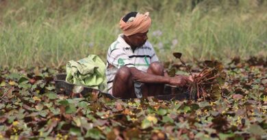 10 Lakh hectares in India under Natural Farming