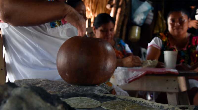 Globally Important Agricultural Heritage Systems: China, Mexico, Morocco and Spain get additional sites, along with first one in Thailand