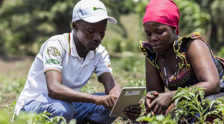 Study proposes measures to strengthen Burundi’s plant health system