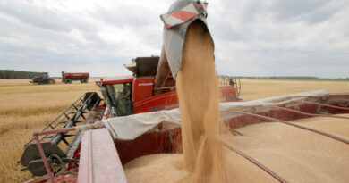 Ukraine: FAO reinforces its presence to optimize technical and humanitarian assistance
