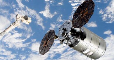 IAEA and FAO send seeds to International Space Station