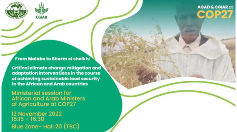 Aoad & cgiar: from malabo to sharm el-sheikh