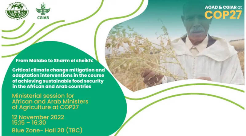 Aoad & cgiar: from malabo to sharm el-sheikh