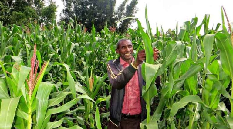 Data summit features CABI/ODI ground-breaking work to improve food security