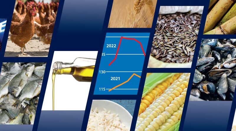 Alarming signs as the global food import bill set to rise to nearly US$2 trillion due to higher prices