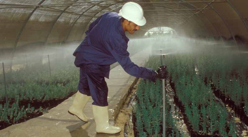 COP27: Increasing climate finance crucial to bring about sustainable transformation of agrifood systems