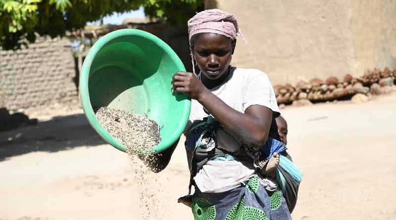 Agri-food systems and their contribution to climate change action