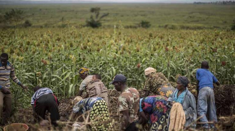 New data to measure cropland nutrient budgets