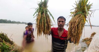 Norway contributes $9.6 million of flexible funding to boost FAO’s response to most severe crises and emergencies