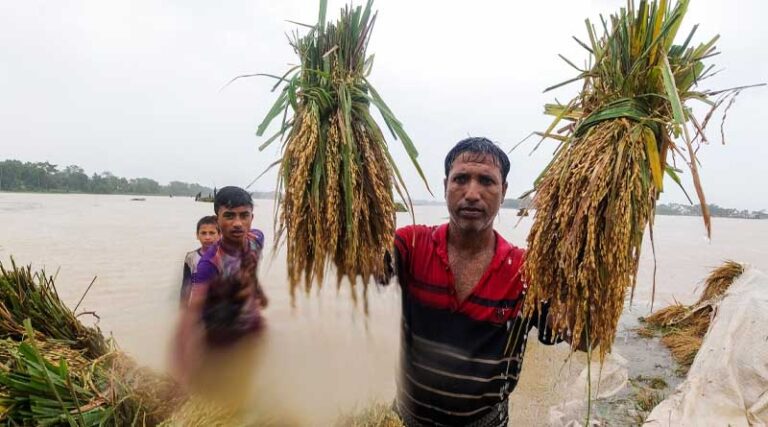 Norway contributes $9.6 million of flexible funding to boost FAO’s response to most severe crises and emergencies