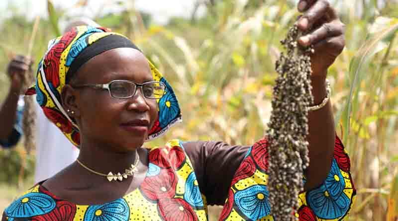 World Food Programme and ICRISAT: working to improve nutrition and build resilience in vulnerable communities