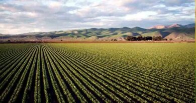 China, Germany to bolster food security