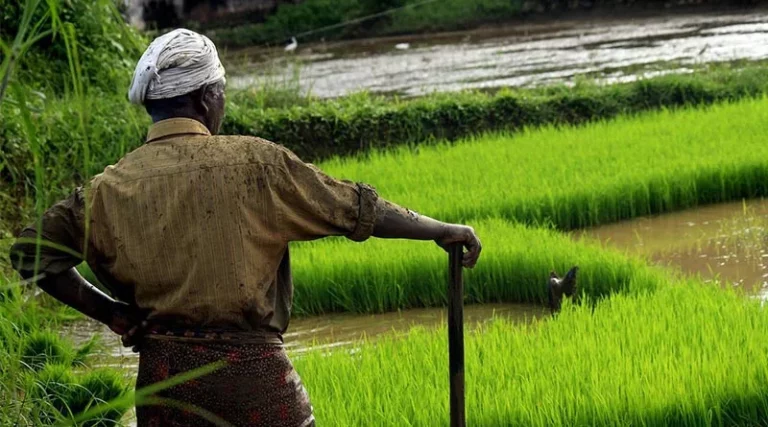 All-india consumer price index numbers for agricultural and rural labourers – October, 2022