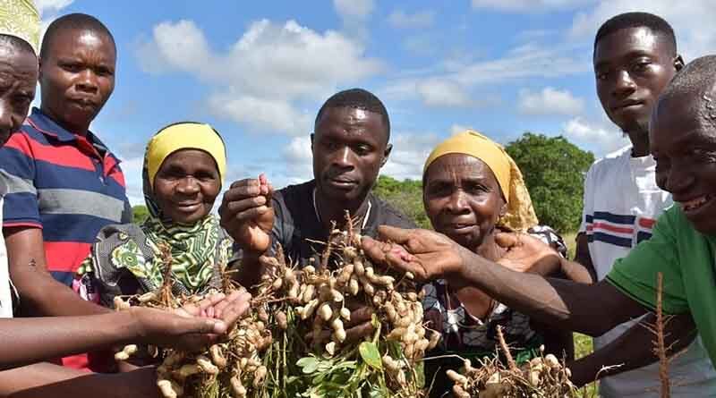 Groundnut ESA crop improvement network sets regional and country level priorities