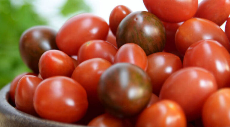 One-Pot Cooking: The growing consumer trend that’s healthy, simple, and sustainable