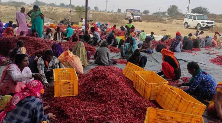 FPO from Madhya Pradesh exports its first Red Chilli consignment to Europe