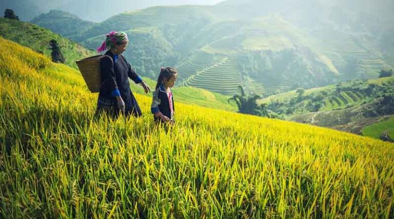 China plans to cut pesticides on fruits & vegetables by 10% in the next three years