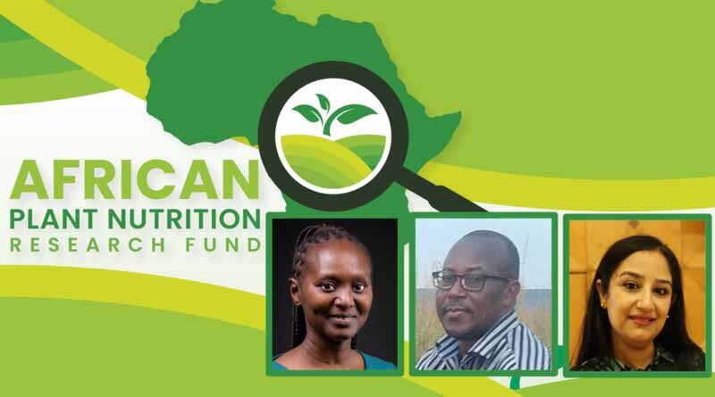 2022 African Plant Nutrition Research Fund Selections Finalized