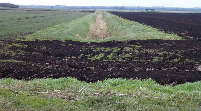 World Soil Day 2022: FAO publishes first global report on black soils