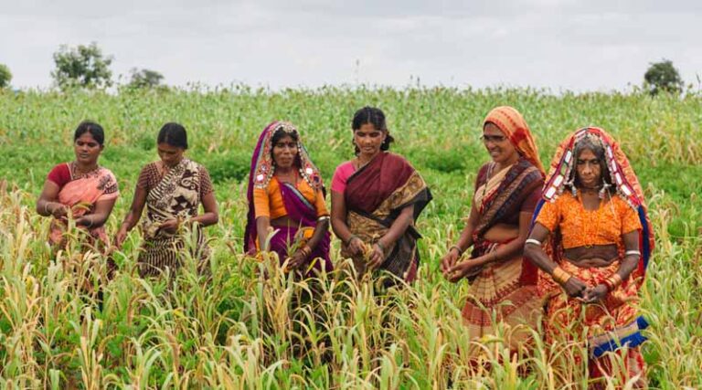Increasing women’s involvement in the workforce can improve dietary diversity