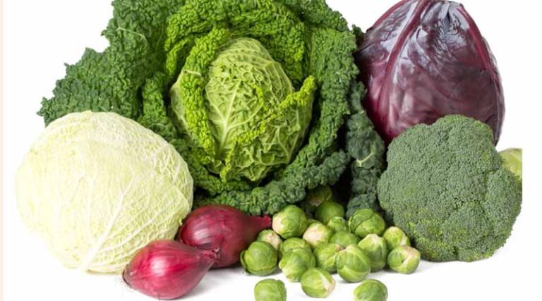 Positive list of cell fusion-free vegetable varieties updated