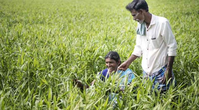 Equipping researchers on farming systems design towards zero hunger, zero carbon