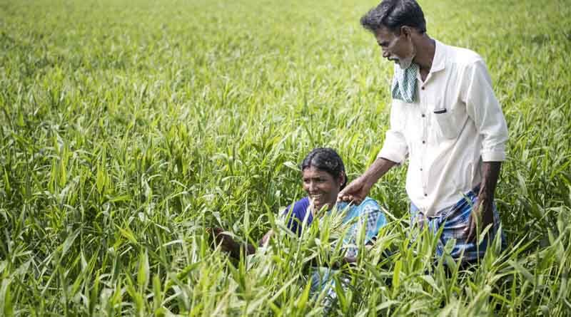 Equipping researchers on farming systems design towards zero hunger, zero carbon