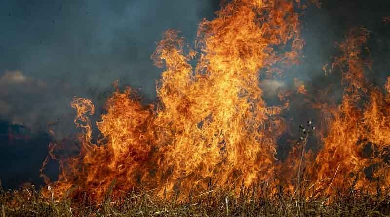 Measures by Central Government to manage Crop Residue and Stubble Burning