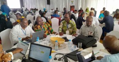 Investing in crops that feed the Sahel