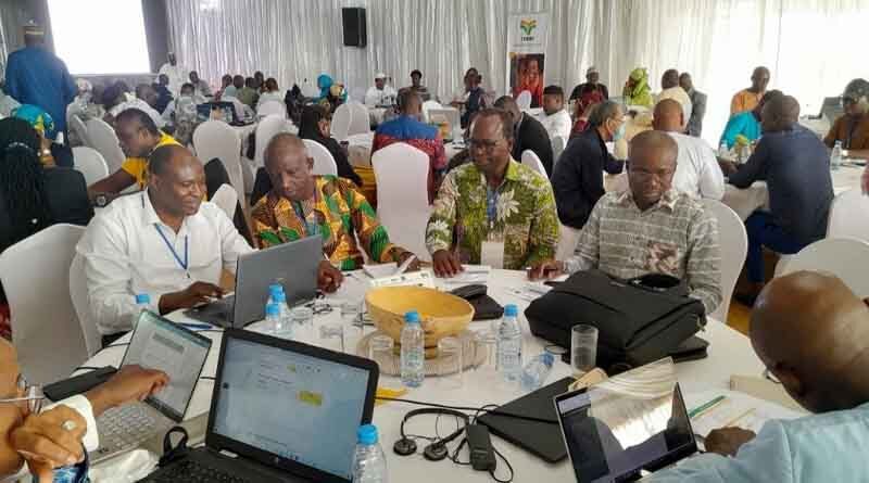 Investing in crops that feed the Sahel