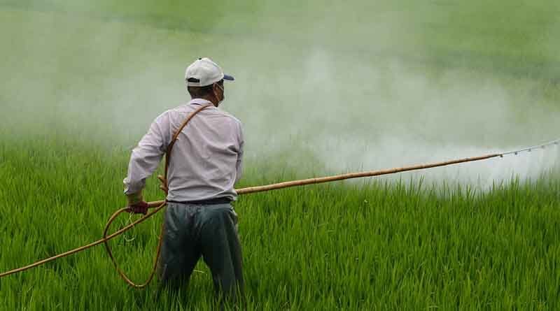 Use of Glyphosate not banned in India: India's Agriculture Minister