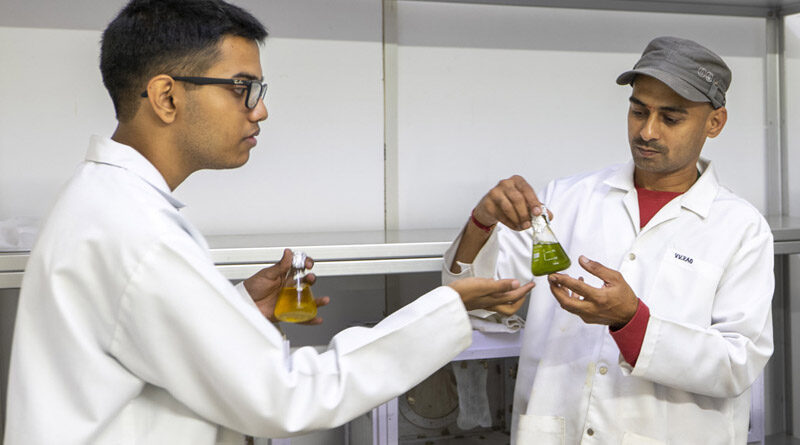 ICRISAT intern wins top awards for developing bio-insecticide