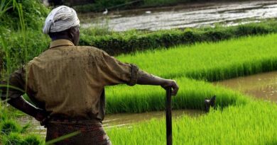 Average monthly income of agricultural households in India; Meghalaya leads