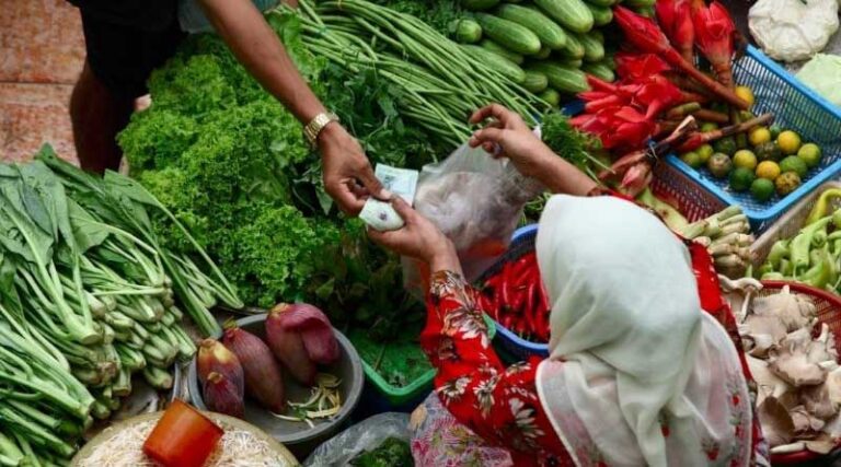 A more sustainable way for food production