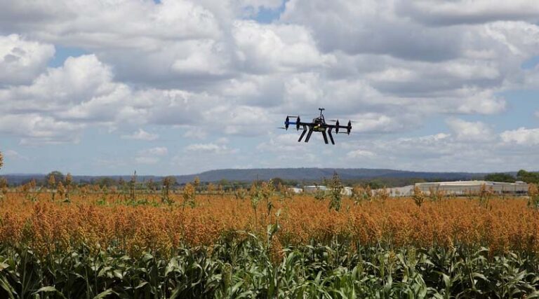 How is the Indian Government using IoT and AI in Agriculture
