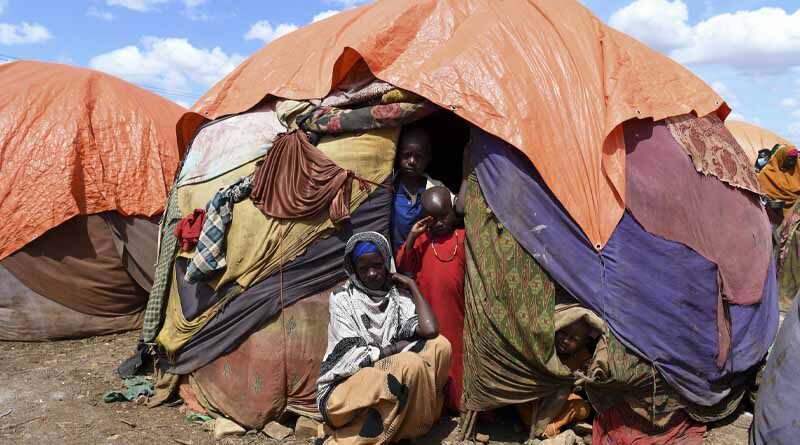 Somalia: FAO calls for fully funded, at-scale and sustained life-saving and livelihoods support to pull people from the brink of famine