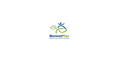 HarvestPlus and Syngenta Foundation Partner to Build Value Chains for Biofortified Crops