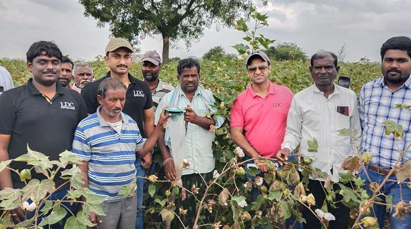 Louis Dreyfus Company helped increase cotton farmers’ income